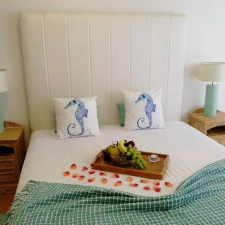 Apartament 2 Bed Flat - Sleeps 4 - Parking - Wifi Nazaré