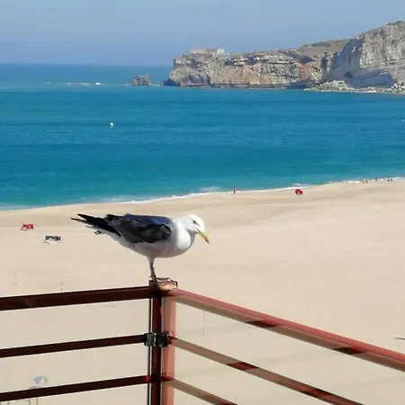 Dream -beautiful Spot * Nazaré